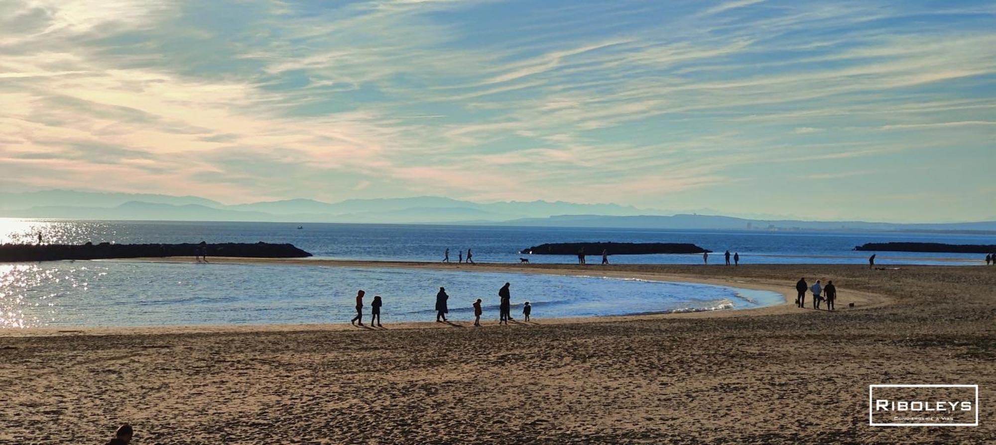 Vias-Plage - Superbe T1 A 100M De La Plage エクステリア 写真
